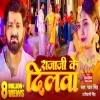 Raja Ji Ke Dilwa - Pawan Singh, Shivani Singh