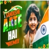 Sandeshe Aate Hai - Remix (Independence Day Dj)