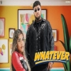 Whatever - Deep Jandu