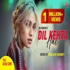 Dil Kehta Hai Remix
