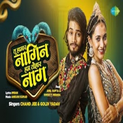 Tu Hamar Naagin Hum Tohar Naag - Chand Jee, Goldi Yadav Mp3 Song