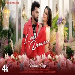 Ladki Deewani - Neelkamal Singh Mp3 Song