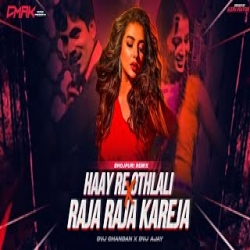A Raja Raja Kareja Me Samaja X Hay Re Othalali Mp3 Song