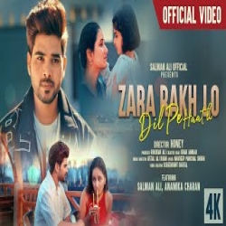 Zara rakhlo dil pe hath - Salman Ali Mp3 Song