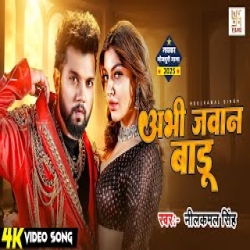 Den Ha Ki Laika Khelawatare - Neelkamal Singh, Shilpi Raj Mp3 Song