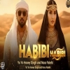 HABIBI - Yo Yo Honey Singh, Nora