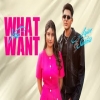 What You Want - Arjun Sahota, Gurlez Akhtar
