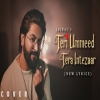 Teri Umeed Tera Intezar - JalRaj