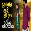 Tomar Oi Duti Chokh - Bangla Lo-Fi