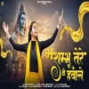 Shambhu Tere Hi Hawale - Divya Vaishnav