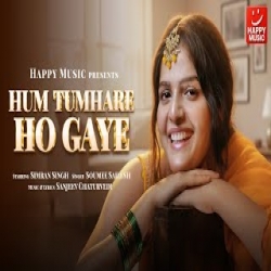 Hum Tumhare Ho Gaye - Soumee Sailesh Mp3 Song
