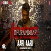 Aari Aari (Dhurandhar The Revenge)