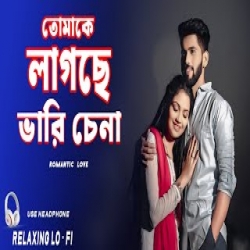 TOMAKE LAGCHHE BHARI CHENA COVER SONG Mp3 Song