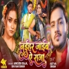Naihar Jaib Ae Raja - Ankush Raja, Shivani Singh