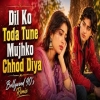 Dil Ko Toda Tune Mujhko Chhod Diya
